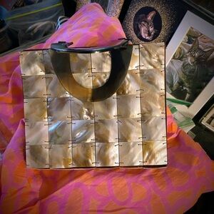 Sleek Abalone Shell Purse